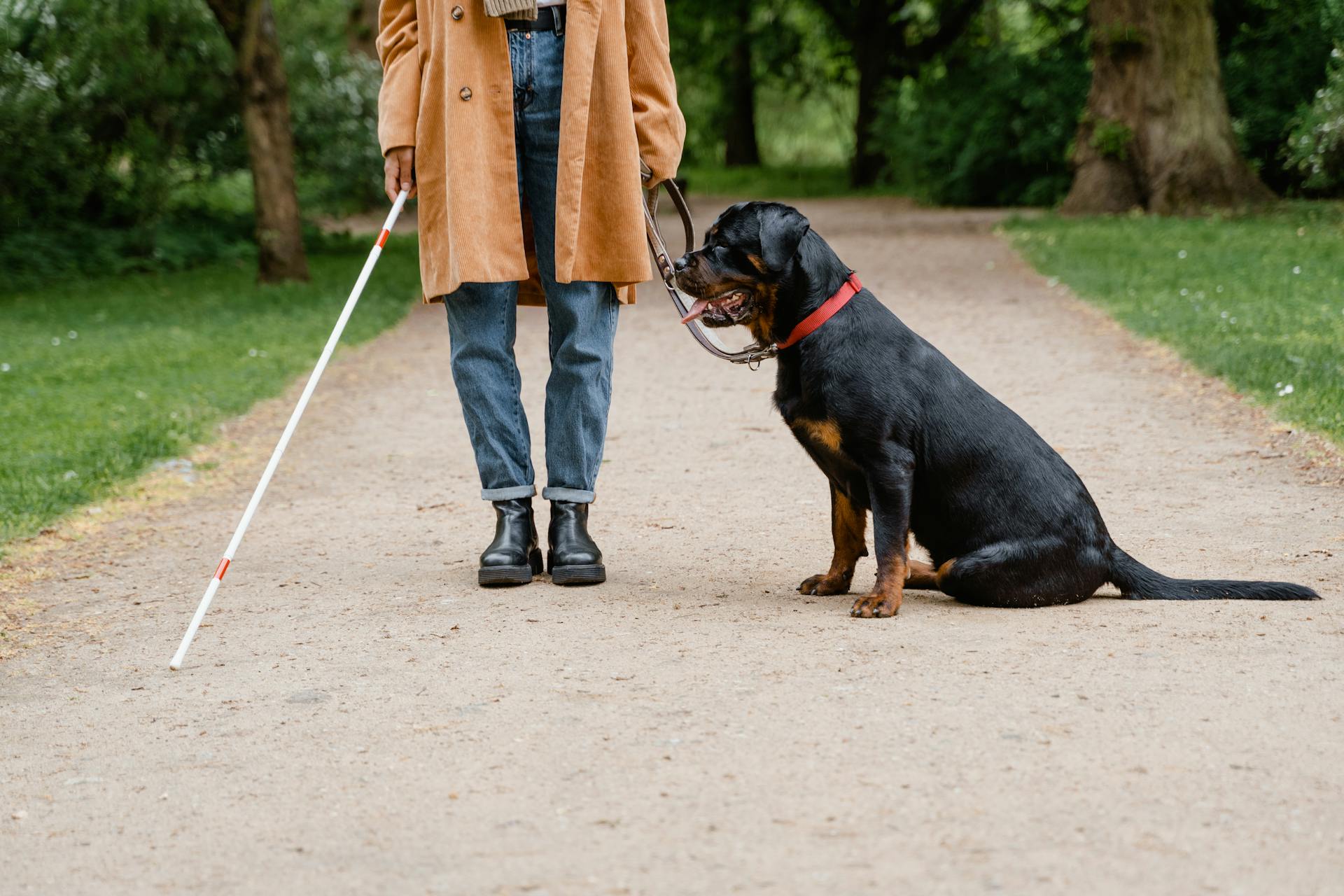 perro guía con su dueña